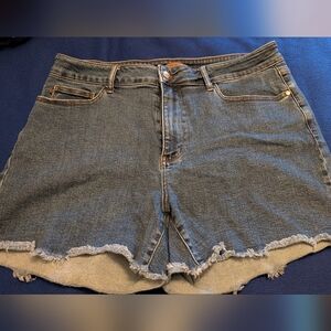 Judy Blues Frayed Hem Denim Shorts